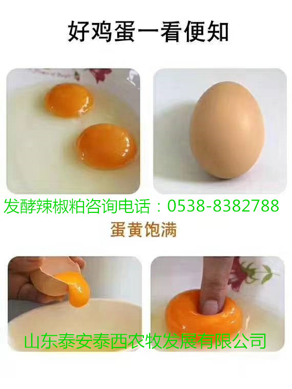 泰西農(nóng)牧發(fā)酵辣椒粕強(qiáng)免疫力增蛋多