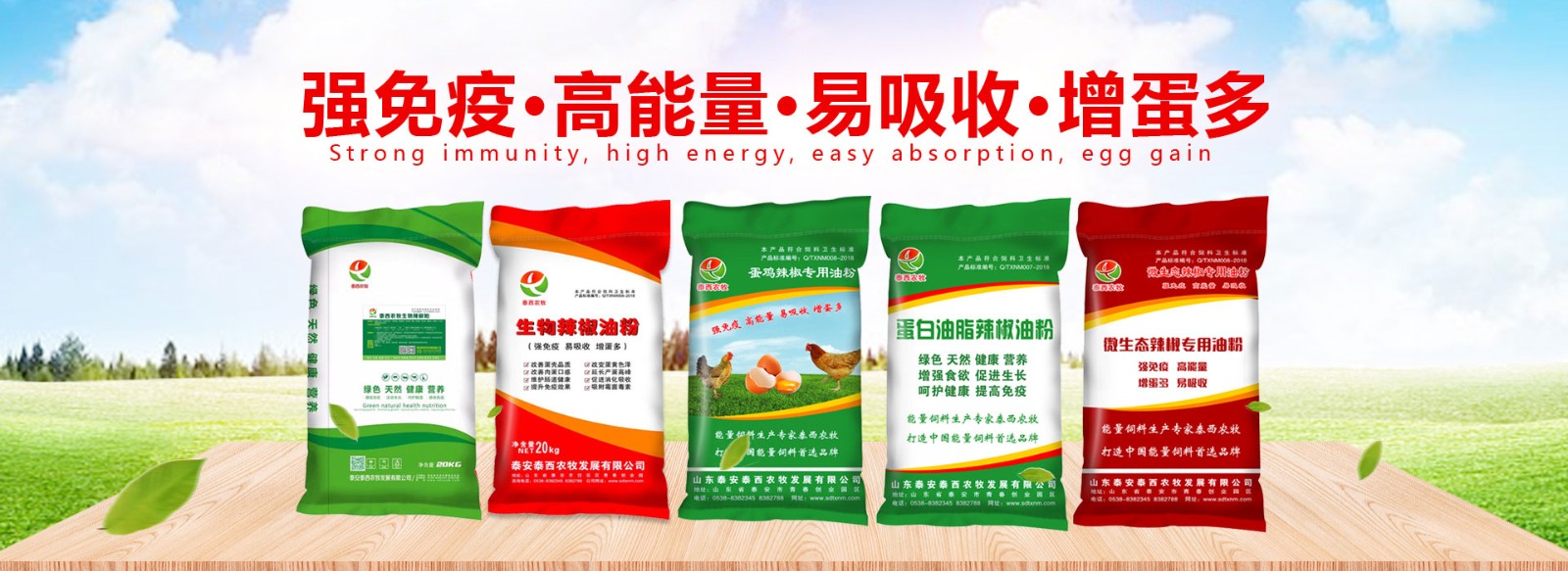 冬季預防雞感冒泰安泰西農(nóng)牧有辦法