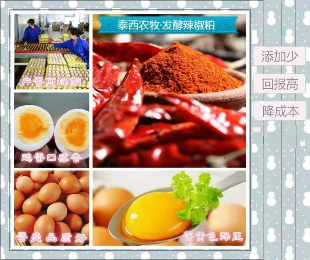 沙皮蛋&nbsp;軟皮蛋&nbsp;雞體散熱困難食欲下降采食量減少添加發(fā)酵辣椒粕